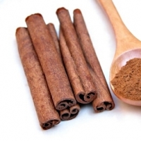 resources of Pure Cinnamon exporters