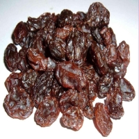resources of Dried Currants exporters