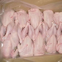 resources of Whole Frozen Chicken exporters