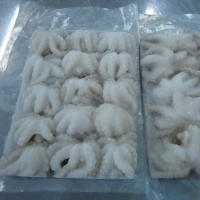 resources of Frozen Baby Octopus exporters