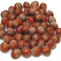resources of Inshell Hazelnut exporters