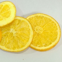 resources of Freeze Dried Orange exporters
