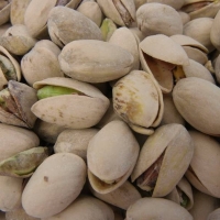 resources of Quality Pistachio Nuts exporters