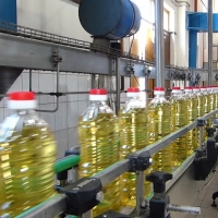 resources of Pure Rapeseed Oil exporters