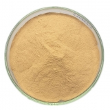 resources of Dewaxed Flakes Shellac exporters