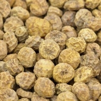 resources of Tiger Nuts exporters