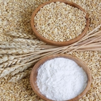 resources of Quality Wheat Flour exporters