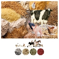 Animal Feed Exporters, Wholesaler & Manufacturer | Globaltradeplaza.com