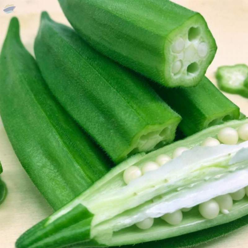 resources of Fresh Green Okra/lady Finger exporters