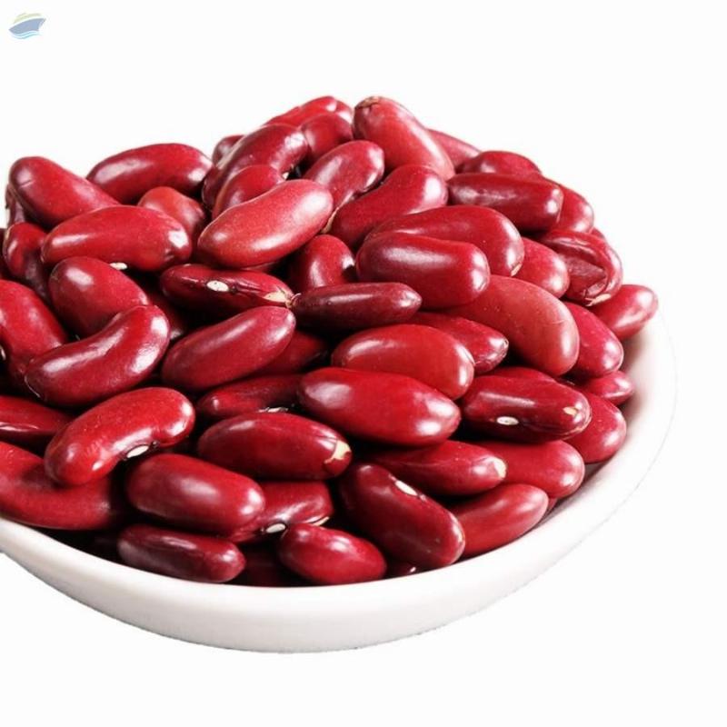 Red Kidney Beans Exporters, Wholesaler & Manufacturer | Globaltradeplaza.com