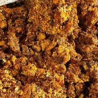 resources of Myrrh Hagar Resin Gum (Commiphora Holtziana) exporters
