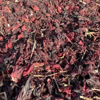 resources of Dried Hibiscus Flower exporters