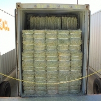 resources of Wholesale Alfalfa Hay exporters