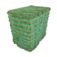 resources of 2021 Best Grade Alfalfa Hay For Sale exporters