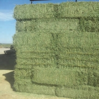 resources of Hay Bales For Sale exporters
