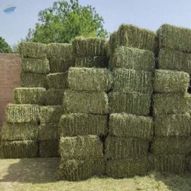 Lucerne Hay For Sale exporter and supplier from Kenya