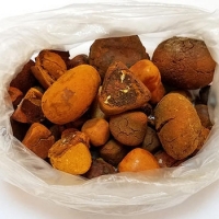 resources of Cheap Cow Gallstones exporters