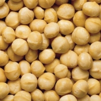 Kenya Roasted Macadamia Nuts Exporters, Wholesaler & Manufacturer | Globaltradeplaza.com