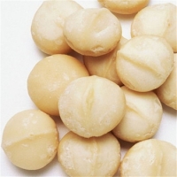 resources of Blanched Macadamia Nuts exporters