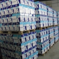 Wholesale Size A 4 80 Gsm Copy Papers Exporters, Wholesaler & Manufacturer | Globaltradeplaza.com