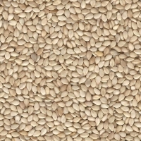 resources of Sesame Seeds exporters