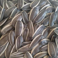 resources of White Strip Sunflower Seeds exporters