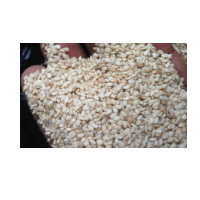 resources of White Sesame Seed exporters