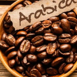 Ethiopian Green Arabica Coffee Exporters, Wholesaler & Manufacturer | Globaltradeplaza.com