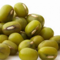 Green Mung Beans Exporters, Wholesaler & Manufacturer | Globaltradeplaza.com