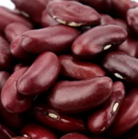 Kidney Beans Exporters, Wholesaler & Manufacturer | Globaltradeplaza.com