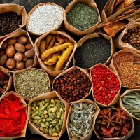 Ethiopian Spices- Herb Exporters, Wholesaler & Manufacturer | Globaltradeplaza.com