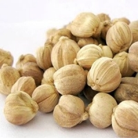 resources of White Cardamom exporters