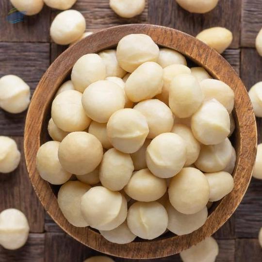 Macadamia Nut Exporters, Wholesaler & Manufacturer | Globaltradeplaza.com