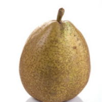 resources of General Leclerc Pear exporters