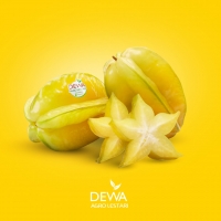 resources of Star Fruit exporters