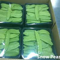 Snow Peas Exporters, Wholesaler & Manufacturer | Globaltradeplaza.com