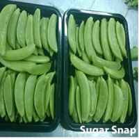 Sugar Snap Exporters, Wholesaler & Manufacturer | Globaltradeplaza.com