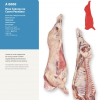 resources of Primal Cut Or Beef Carcass Side exporters