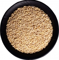 Wheat Groats Exporters, Wholesaler & Manufacturer | Globaltradeplaza.com