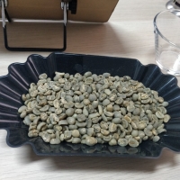 resources of Indonesia Arabica Gayo Green Coffee Bean exporters