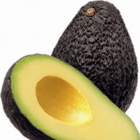 Avocados Exporters, Wholesaler & Manufacturer | Globaltradeplaza.com