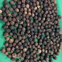 resources of Black Pepper Asta exporters