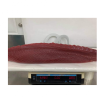 Fresh Chilled Tuna Loins Exporters, Wholesaler & Manufacturer | Globaltradeplaza.com