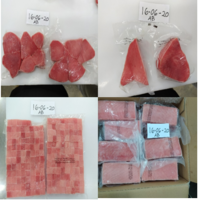 Yellow Fin Tuna Fillet Exporters, Wholesaler & Manufacturer | Globaltradeplaza.com