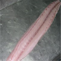 resources of Mahi Mahi exporters