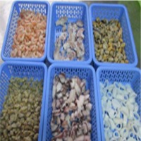 Seafood Mix Exporters, Wholesaler & Manufacturer | Globaltradeplaza.com