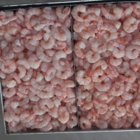 Frozen Pud Blanched exporter and supplier from India