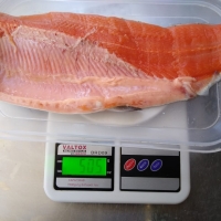 resources of Rainbow Trout exporters