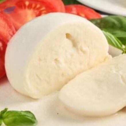 resources of Cheese exporters