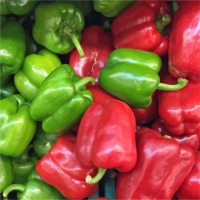 resources of Pepper Colors exporters